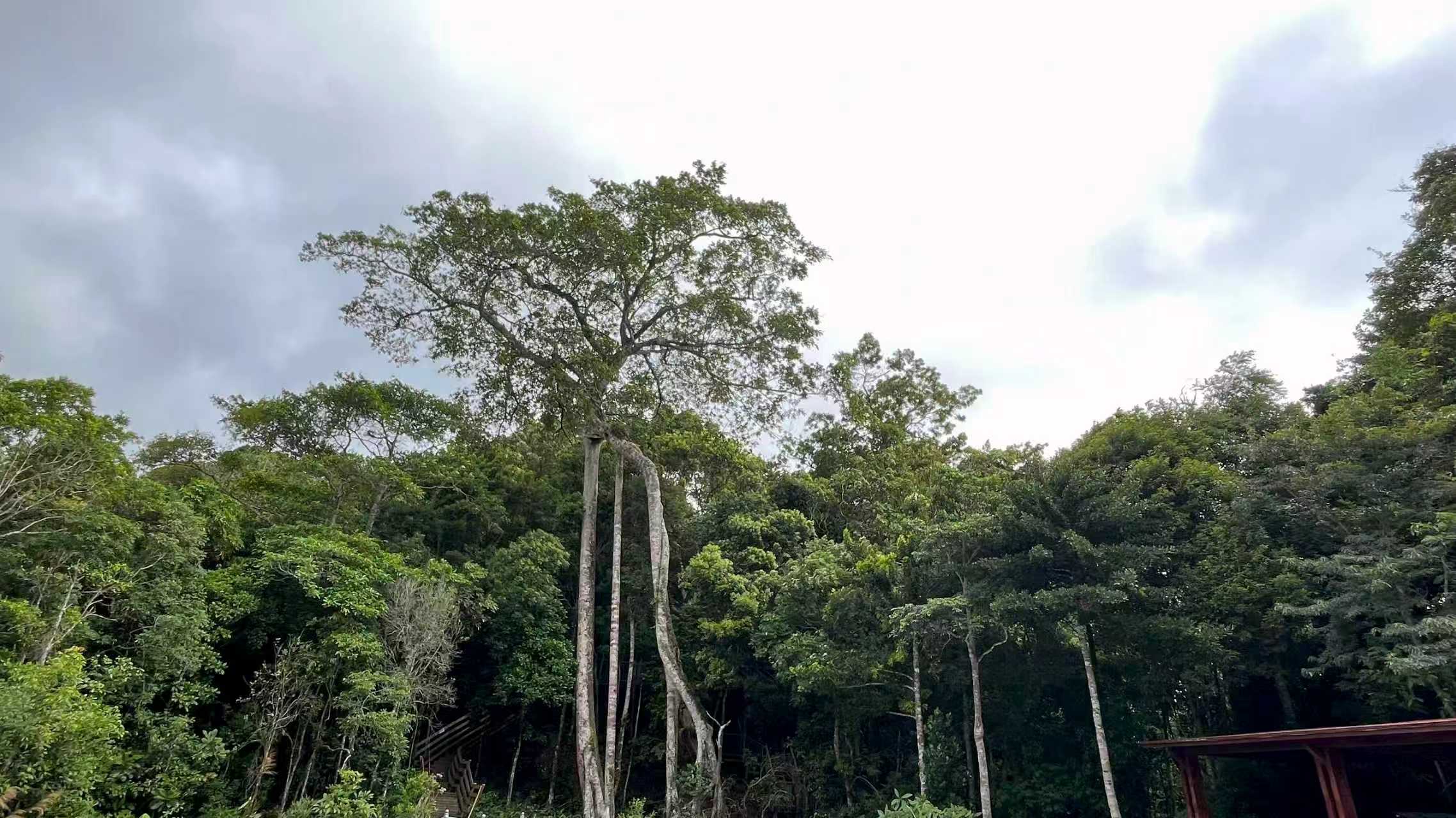 声景记录工作现场