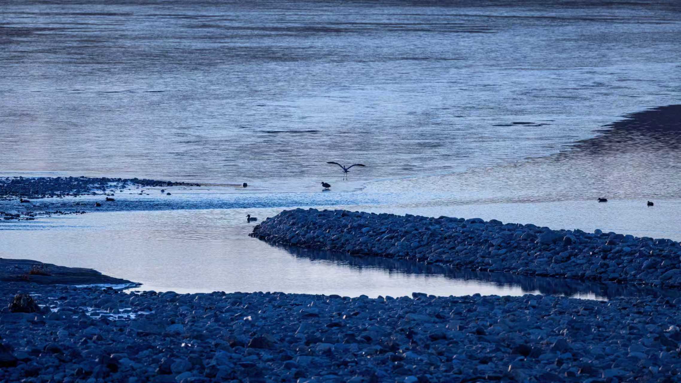 湿地生态系统声景记录